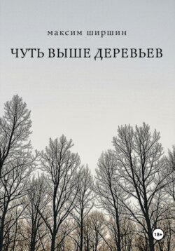 Чуть выше деревьев