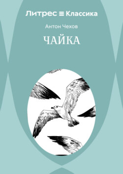 Чайка