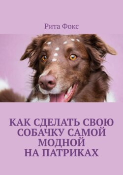 Как сделать свою собачку самой модной на&nbsp;Патриках