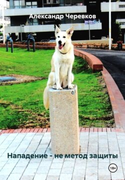 Нападение &ndash; не метод защиты