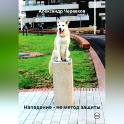 Нападение &ndash; не метод защиты