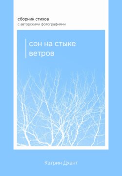 Сон на стыке ветров