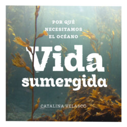 Vida sumergida