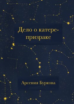 Дело о катере-призраке