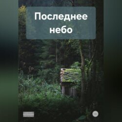 Последнее небо
