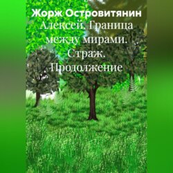 Алексей. Граница между мирами. Страж. Продолжение