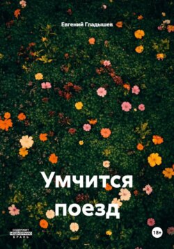 Умчится поезд