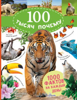 100 тысяч почему на каждый день. Природа