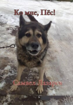 Ко мне, Пёс!