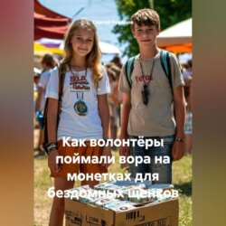 Как волонтёры поймали вора на монетках для бездомных щенков