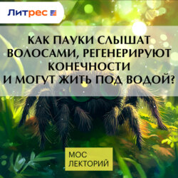 Как пауки слышат волосами, регенерируют конечности и могут жить под водой?