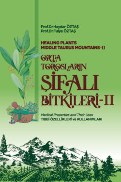 ORTA TOROSLARIN ŞİFALI BİTKİLERİ &ndash; II
