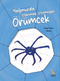 Yagmurda Islanmak Istemeyen &Ouml;rümcek