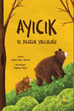 Ayıcık ve Bilgelik Yolculuğu