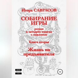 Собирание игры. Книга вторая. Жизнь на предъявителя
