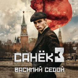 Санёк 3