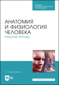 Анатомия и физиология человека. Рабочая тетрадь. Учебное пособие для СПО. 6-е издание, стереотипное