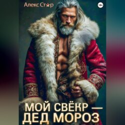 Мой свёкр &ndash; Дед Мороз