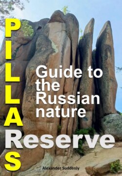 Pillars Reserve &ndash; Guide to the Russian nature