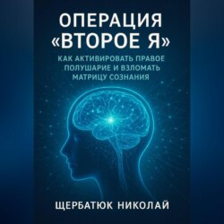 Операция &laquo;Второе Я&raquo;: Как активировать правое полушарие и взломать Матрицу сознания