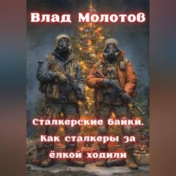 Сталкерские байки. Как сталкеры за &euml;лкой ходили