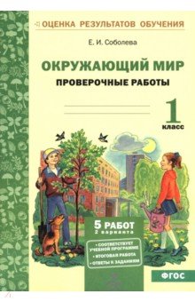 Окружающий мир. 1 класс. Проверочные работы