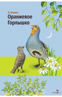 Оранжевое горлышко