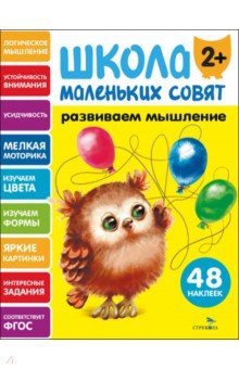 Развиваем мышление. Школа маленьких совят 2+
