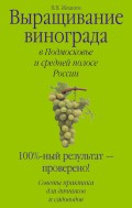 Выращивание винограда в Подмосковье и средней полосе России