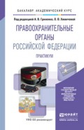 Правоохранительные органы Российской Федерации. Практикум. Учебное пособие для академического бакалавриата