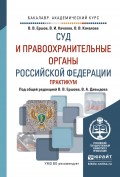 Суд и правоохранительные органы РФ. Практикум. Учебное пособие для академического бакалавриата