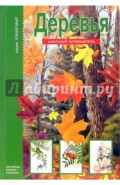 Деревья. Школьный путеводитель