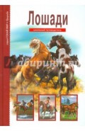 Лошади