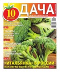 Дача Pressa.ru 04-2016