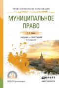 Муниципальное право 2-е изд., пер. и доп. Учебник и практикум для СПО