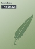 The Essays