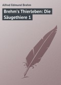 Brehm’s Thierleben: Die Säugethiere 1