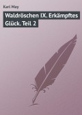 Waldröschen IX. Erkämpftes Glück. Teil 2