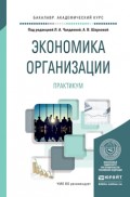 Экономика организации. Практикум. Учебное пособие для академического бакалавриата