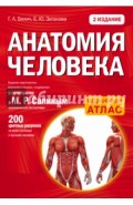 Анатомия человека