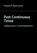 Past Continuous Tense. Избранные стихотворения