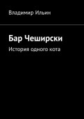 Бар Чеширски. История одного кота