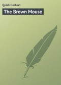 The Brown Mouse