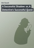 A Successful Shadow: or, A Detective's Successful Quest