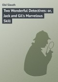 Two Wonderful Detectives: or, Jack and Gil's Marvelous Skill