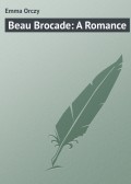 Beau Brocade: A Romance