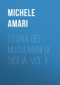 Storia dei musulmani di Sicilia, vol. II