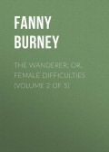 The Wanderer; or, Female Difficulties (Volume 2 of 5)