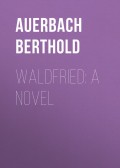Waldfried: A Novel