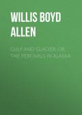 Gulf and Glacier; or, The Percivals in Alaska